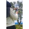 Nelly Hidayanti