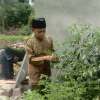 Bima Prabowo