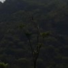 Painam Sitham
