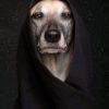 Ĥțïke Țĥű