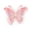 fairyinluv