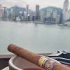 分享站 杯莫庭
