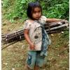 Sebut Saja Mawar