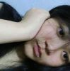 แมวอ้วน สีส้ม