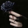 black Rose