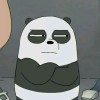 🐼