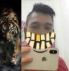 Man Tiger