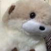 葉子
