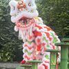 將軍