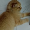 น.นนท์ บ๊ายบาย