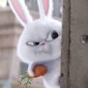 Yanka Orange Chan
