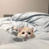TmunComel Comel