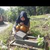 Aing Hagy Anggara