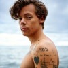 Lov Harold 