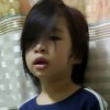 amir