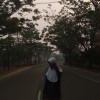 Ledy Afrillika