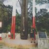 Deny Romario Siregar