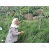 Nitha