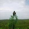 Wahyu Dony