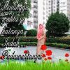 Ria