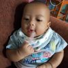 Koy Tanpitcha