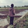 Andon Dolan Ning Dunya