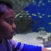 syakirin