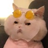 ภาคภูมิ