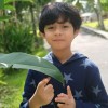 Bani Al hajj:>