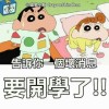 🏹 史黛拉🏹