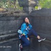novialisanaution