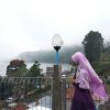 Monica Evi
