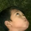 G@nGs4r