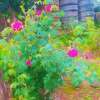 နှစ်ယောက် တစ်ဘဝ