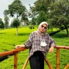 Shima Wildanisya