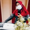 DJTapibukan