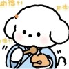Min Yan