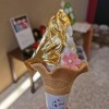 shizuka