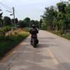 วุฒิ