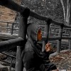Ꭰꫀn ヅ