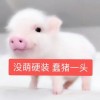 呆🍑