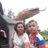 Darna Sihombing