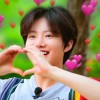 littlejunkyu