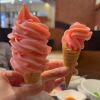 林麗君