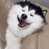 OnlyZeePruk