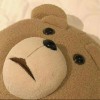 🐻