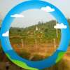 ကျိုစာနေ သောခင်