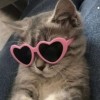 💕