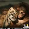 Love Mak Wong