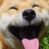 Alo